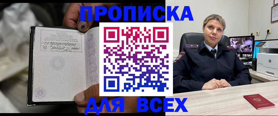 где прописаться в Камышине